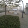 im Nebel